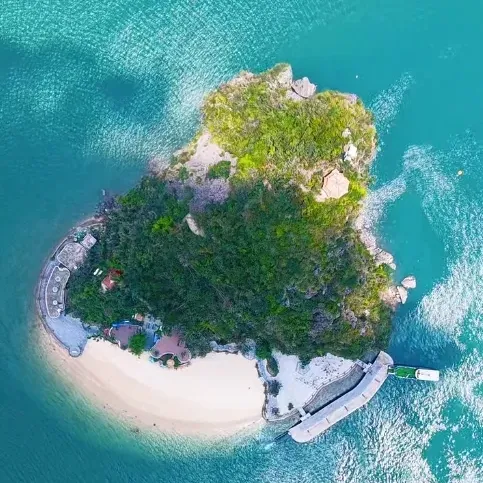 3892db0c2528df61ee8e52ed821a7137-sz_358032