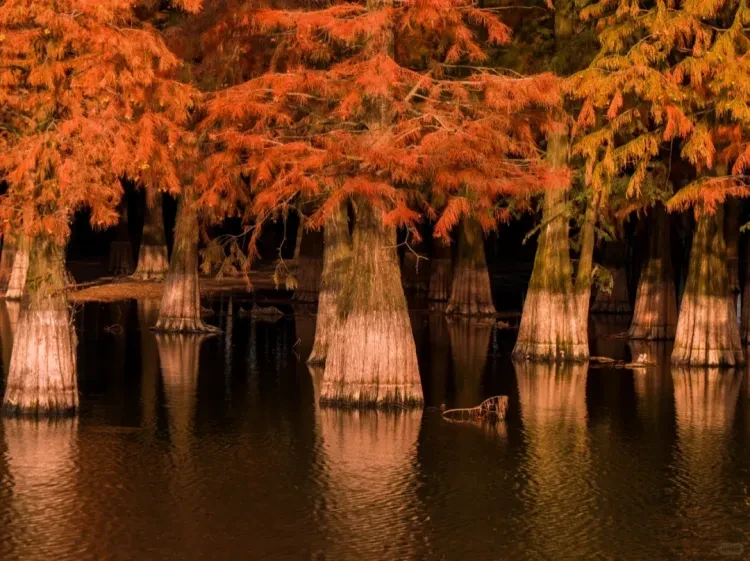 389c7f5868cb625c06596c7657301fc5-sz_1434703