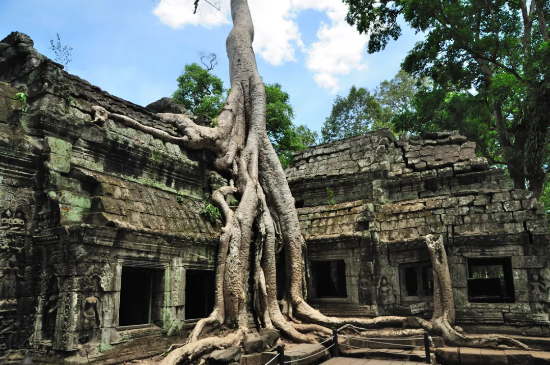 38e77dfaf08a0556db4220ea45a54eb2-sz_813325 38e77dfaf08a0556db4220ea45a54eb2-sz_813325