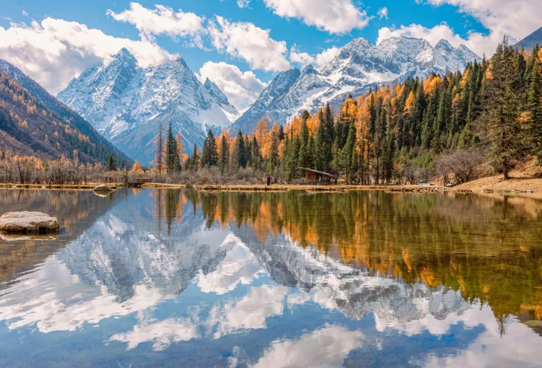 390665a1171a6bbe9f8b91cd41bbd97d-sz_2798530