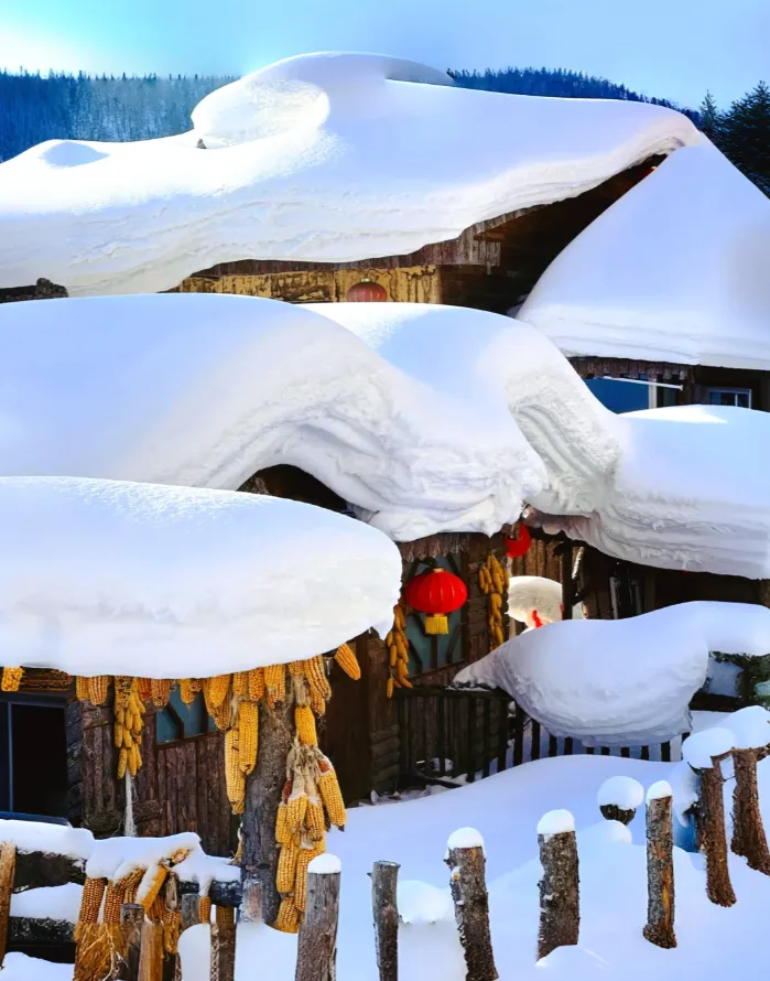 391c07ebb494dfcc96a32421c2a0e39a-sz_903077-1