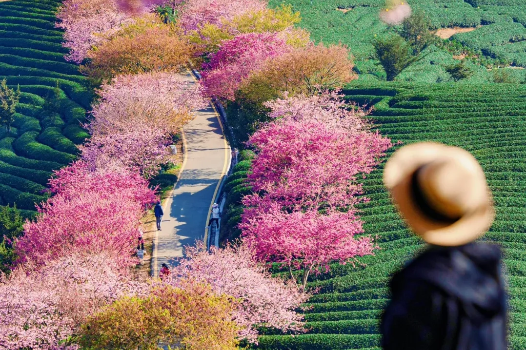 392ffce51bf1761e33211585afab7fcb-sz_3196315