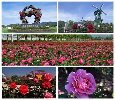 39675c4eba2a2782d8c74d75f316eb15-sz_47350 39675c4eba2a2782d8c74d75f316eb15-sz_47350