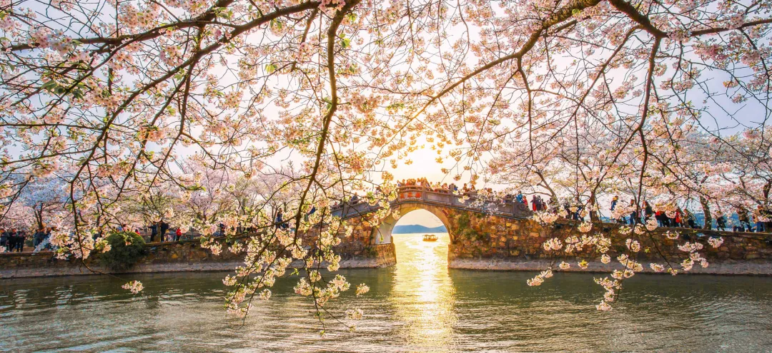 399999f908471292db528908c1c10a78-sz_1027427-1