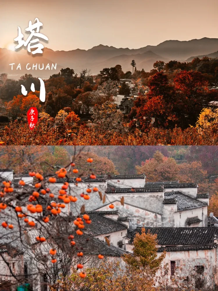 39b686b2cdf8bd623db4161d17b31b04-sz_844130 39b686b2cdf8bd623db4161d17b31b04-sz_844130