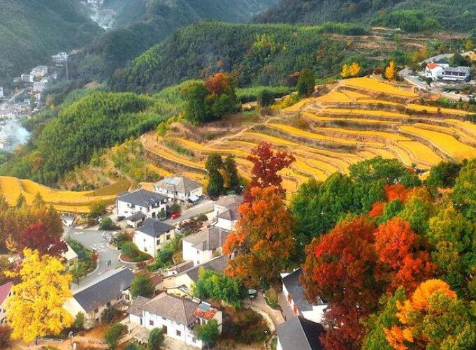 3E62H60ccv3aCGAwByU-tMJ1jcT5tWSd