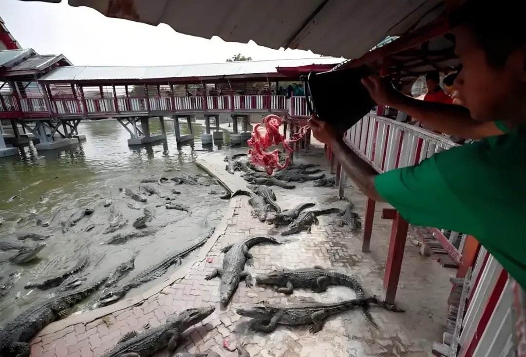 3a02fd2427795152fe8c87d410b23974-sz_1613329