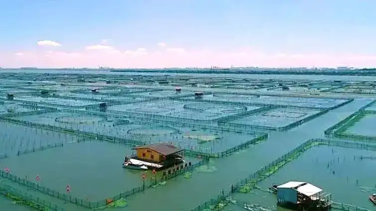 阳澄湖宝曼酒店【3天2晚4正2早299元】免费KTV•棋牌畅打【12月暖冬回馈！第一天升级羊肉锅第二天升级牛肉锅