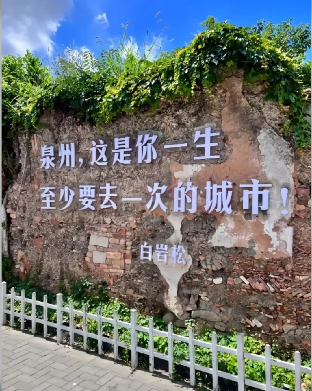 3b0e566bbc77ec28943dd6a11bfa72d5-sz_2094334