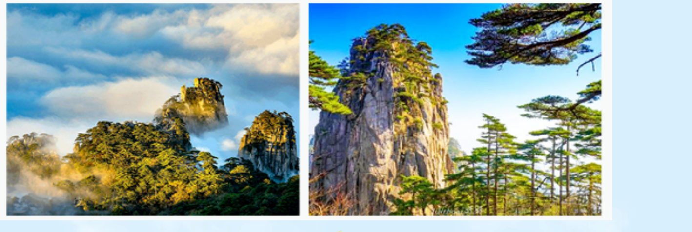 3b0f7f9816da18ed84fc13a8b71a8226