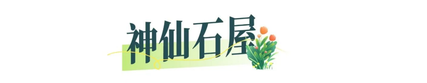 3b199f9f9d2b1821e1f5b72828381455