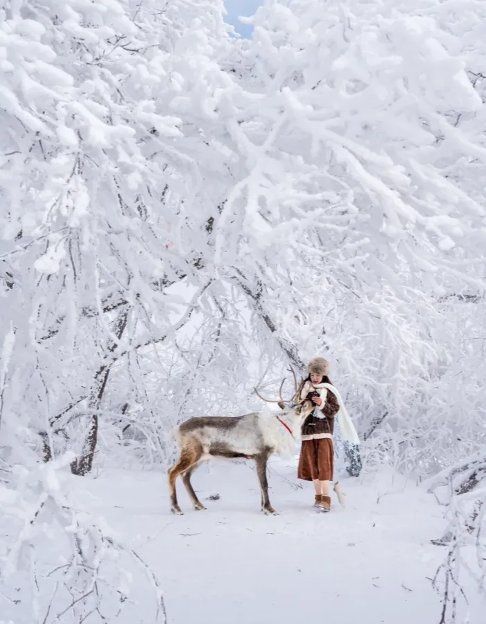 3b1ec4ea3766b50862d35c98301ef1e5-sz_921768