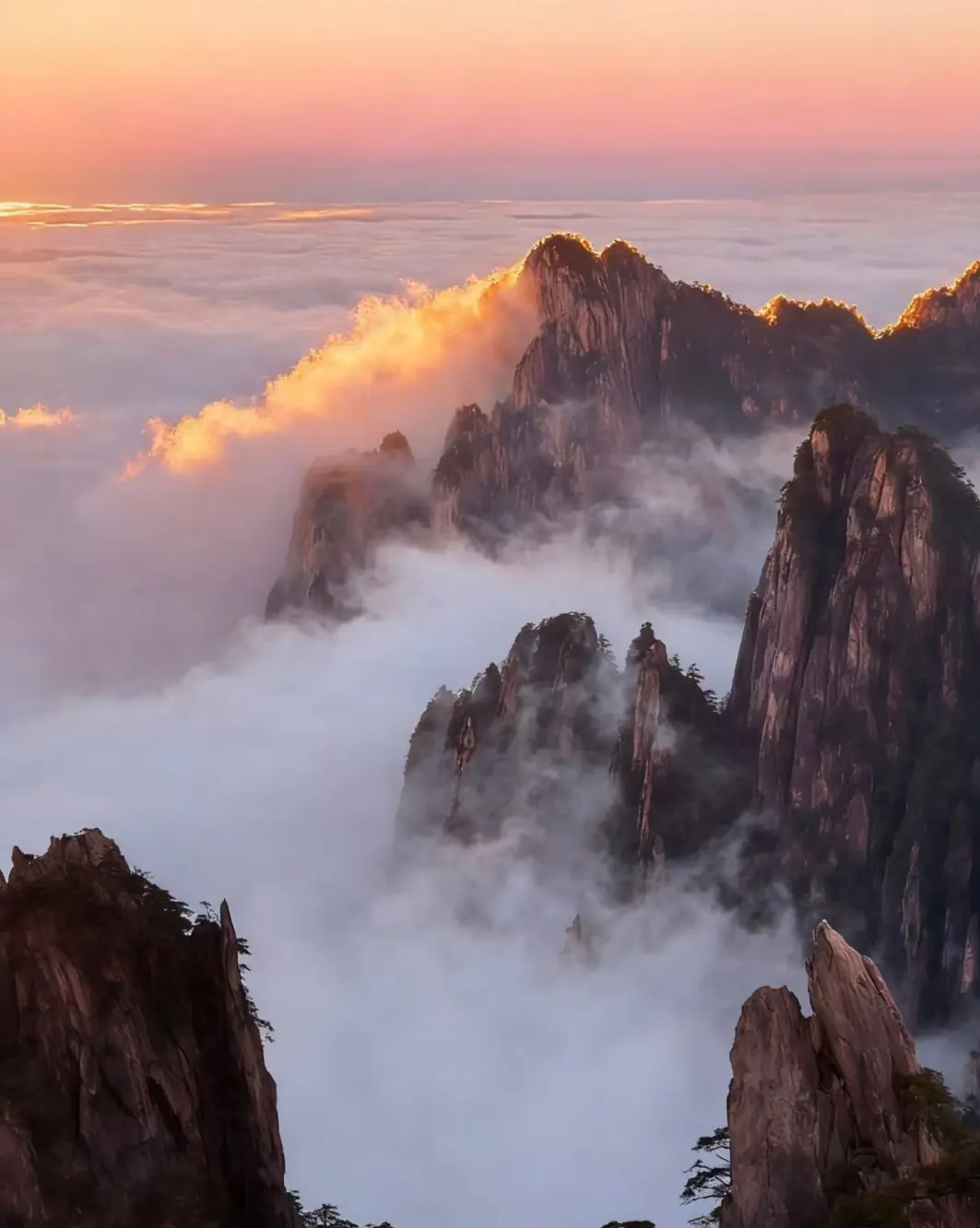 3b8bda5dd83a2e25967da653e6511fba-sz_150441