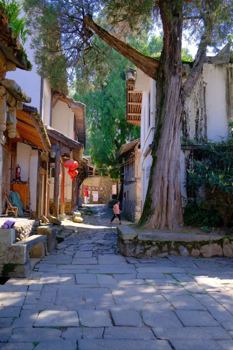 3bd1b2bf6c2af84f0405e35f86a510a6-sz_4153077 3bd1b2bf6c2af84f0405e35f86a510a6-sz_4153077