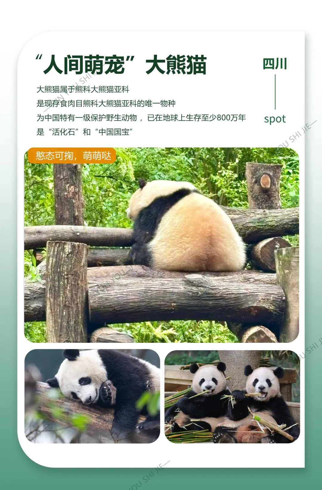 3bdccc0fea4d1bfaacb8cd76d6f65c8b-sz_1514719