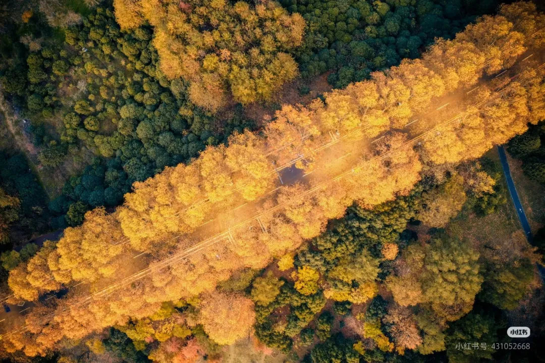 3c13d6e89a6b0b02bdaa19b36bb21c93-sz_1094214