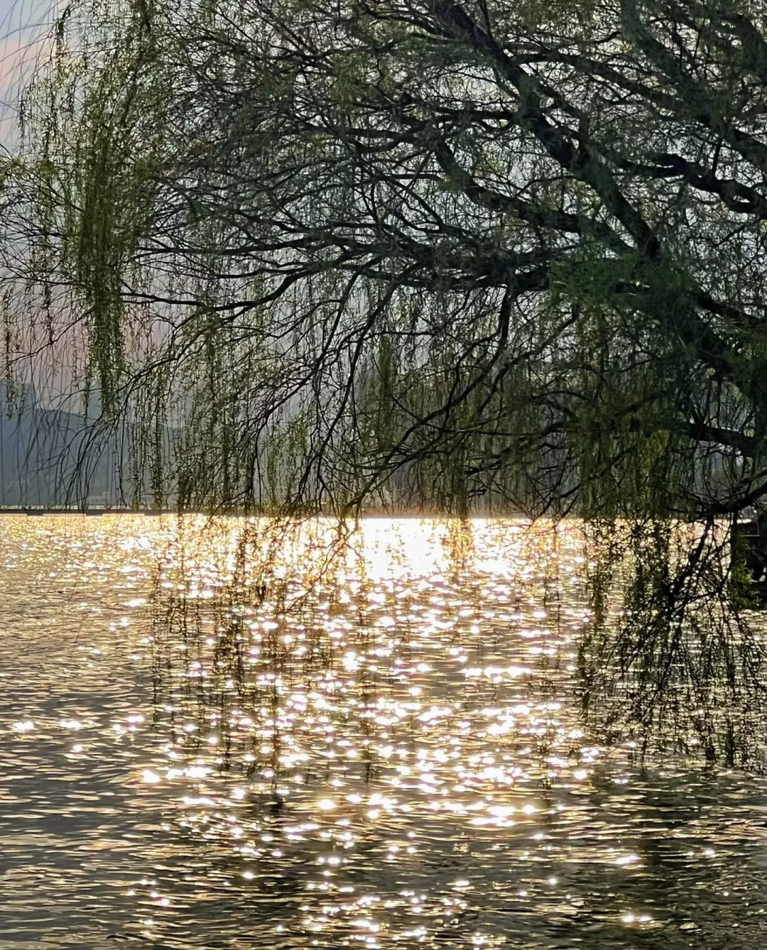 3c2218190beec0c57b771351f106f0a9-sz_1234905 3c2218190beec0c57b771351f106f0a9-sz_1234905