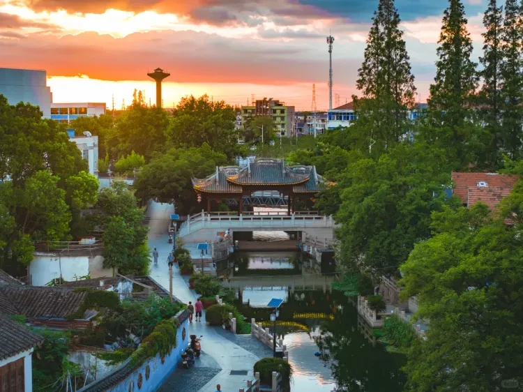 3c3a6b220331e59e4744ea25a685c3f6-sz_2491591