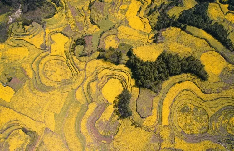 3c51b5b8640190cb04bb6c8a73435f31-sz_434731