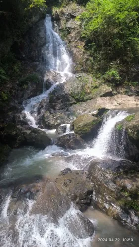 3c5b764c981a040f79b4d8d14df353c4-sz_290861