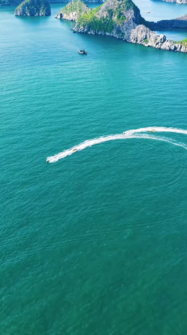 3c7978e3036e2e10374f9be85ec71ef1-sz_1446406