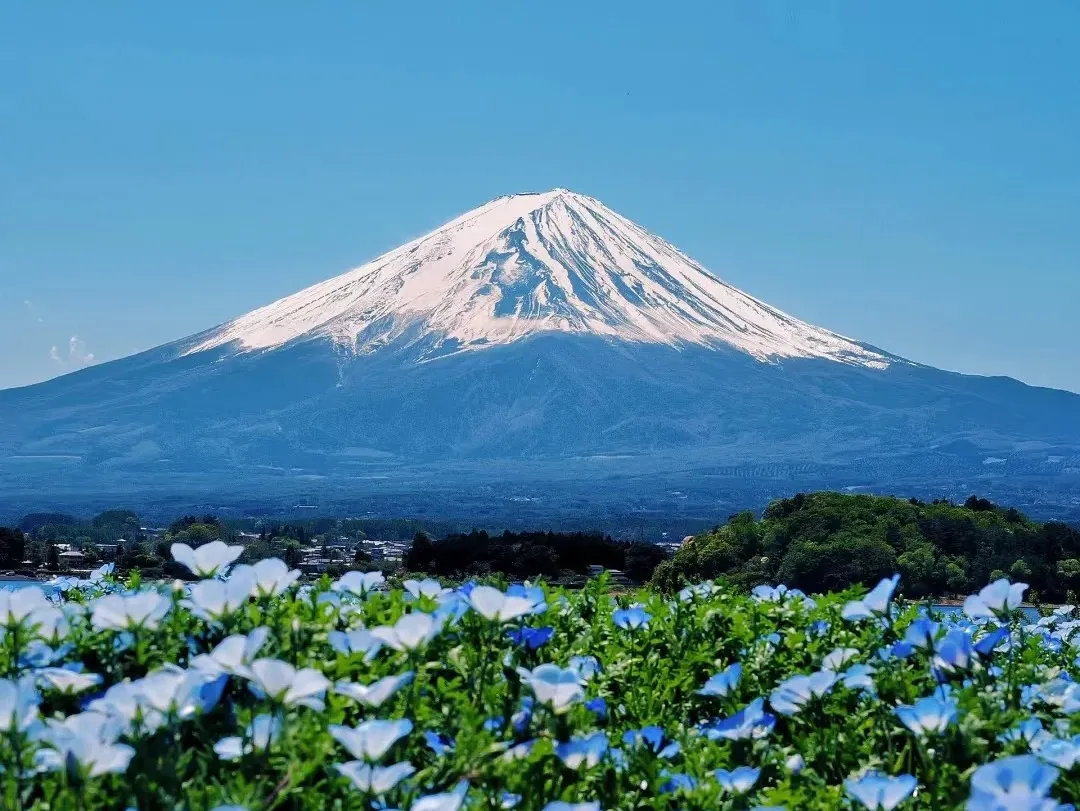 3c7d4dbe6020df7df5a66f9f7f95a206-sz_318045 3c7d4dbe6020df7df5a66f9f7f95a206-sz_318045