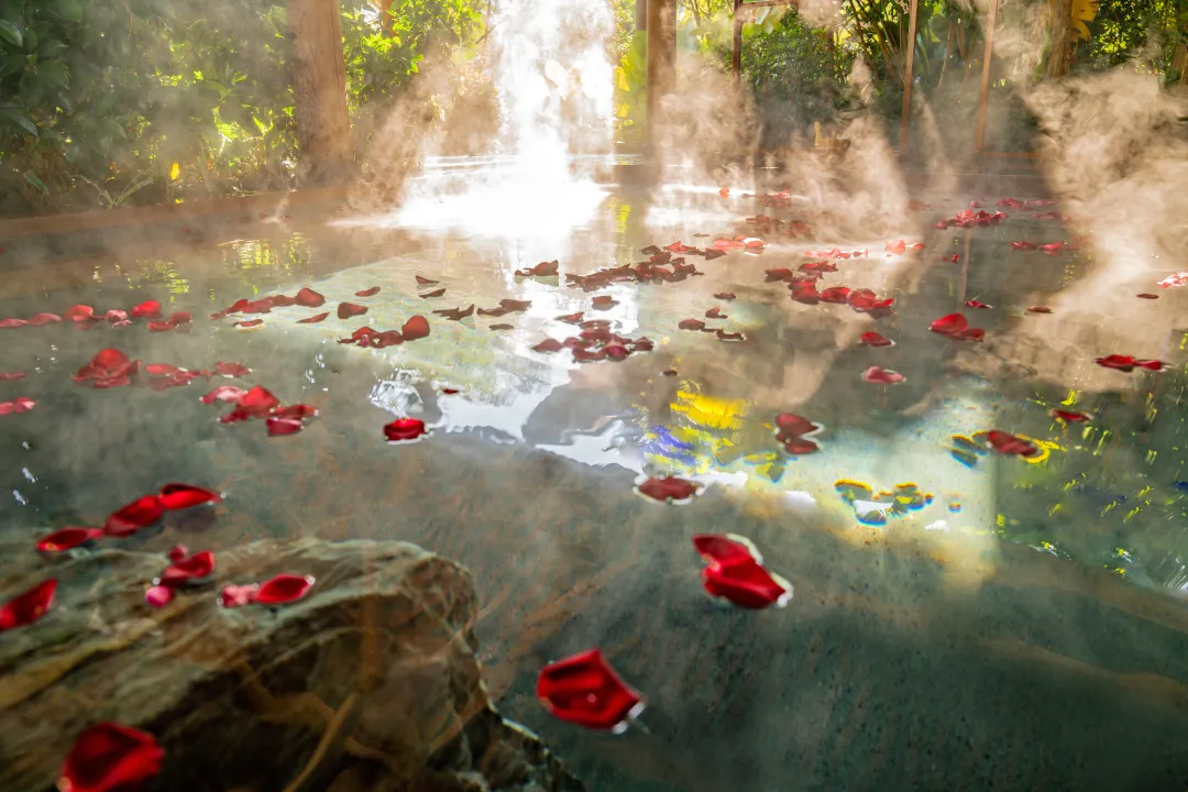 3d6ee1a5b2fa496d06ad4883ea7f454c-sz_28898588 3d6ee1a5b2fa496d06ad4883ea7f454c-sz_28898588