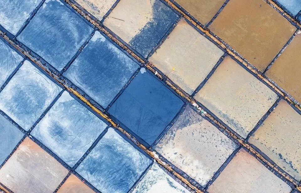 3d75a344e1ad2a9a7461b2481d86fc7c-sz_509808