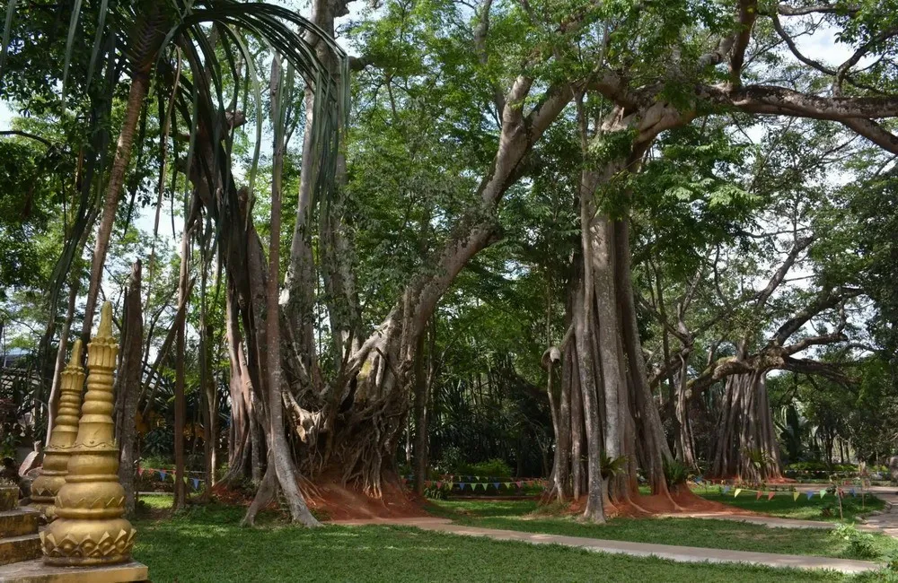 3d7d3b3fd548f777e4607d5a32c35f2b-sz_305027 3d7d3b3fd548f777e4607d5a32c35f2b-sz_305027