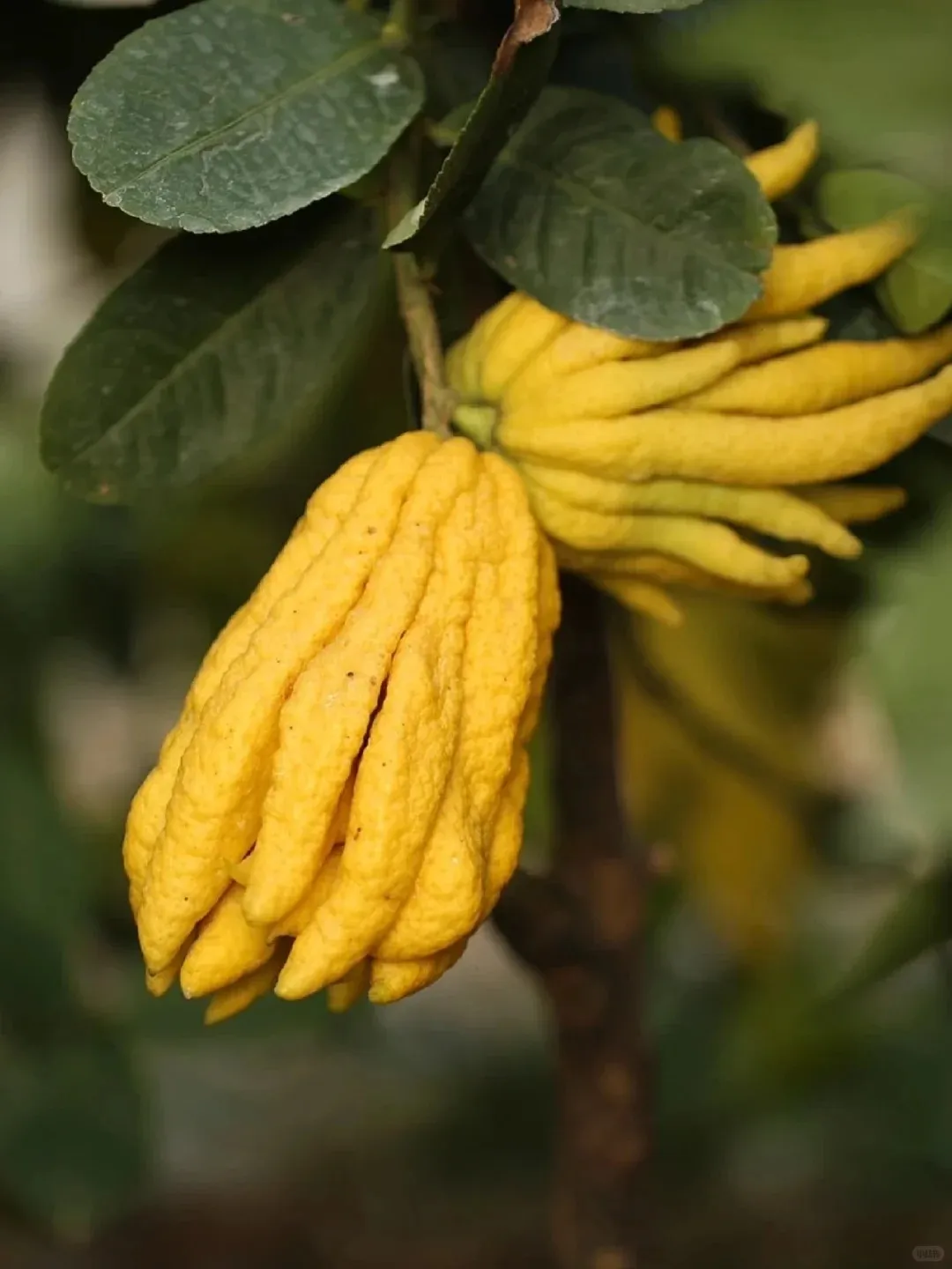 3d89e82e9d47e10e96329755fc21ff6c-sz_180098 3d89e82e9d47e10e96329755fc21ff6c-sz_180098