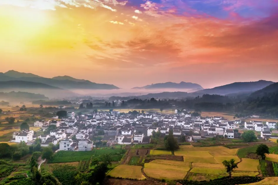 3d8cb69e08ea7462eed49696cca1723d-sz_702212