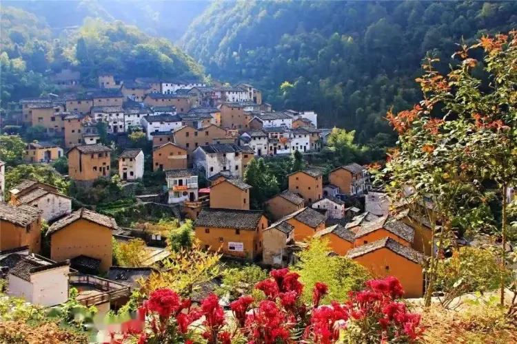 3dba30b99cad93d3c2783663e6188726-sz_207428 3dba30b99cad93d3c2783663e6188726-sz_207428