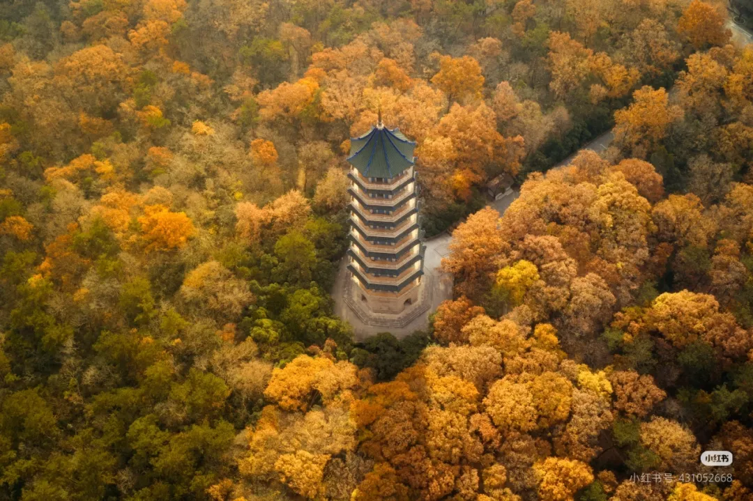 3dd05cac0c75f7c31ac83cd30dbddd78-sz_1045275