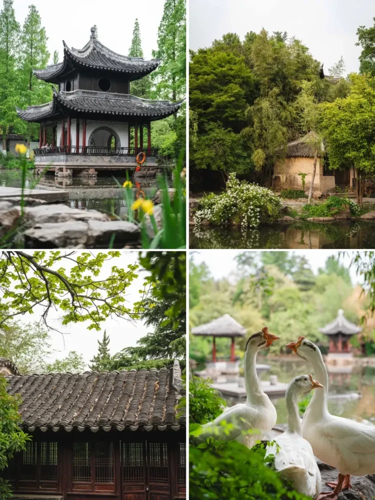 3dd654e4bf7825c263b38519ccb7fae4-sz_3497763