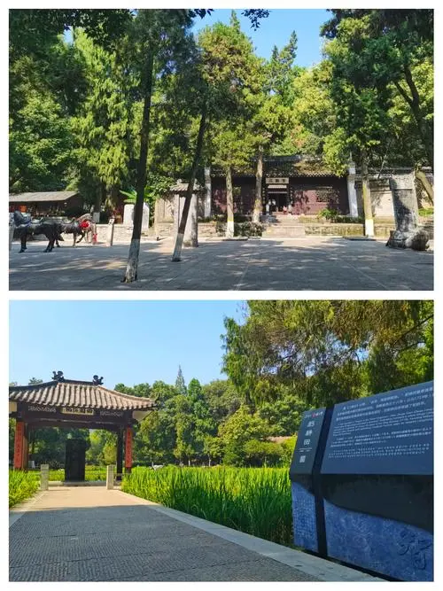 3e144e0b095514bf830ea6239c2c6f67-sz_84399 3e144e0b095514bf830ea6239c2c6f67-sz_84399