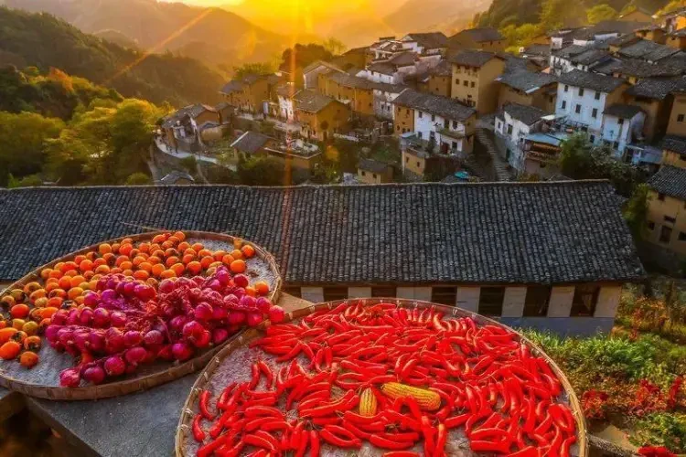 3e1bdfef70f42bcb31a03ac5f893ed98-sz_103993 3e1bdfef70f42bcb31a03ac5f893ed98-sz_103993