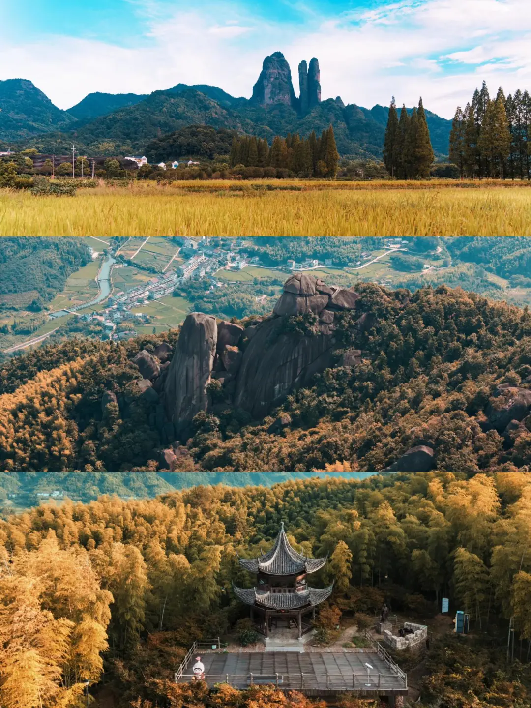 3e29e37fdc2a2dc049cf7f72ff97e58f-sz_497215-1