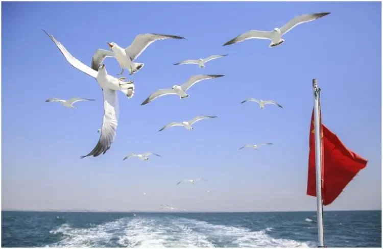 3e3496fc022ed99acc38dfd361aafe40-sz_32836 3e3496fc022ed99acc38dfd361aafe40-sz_32836