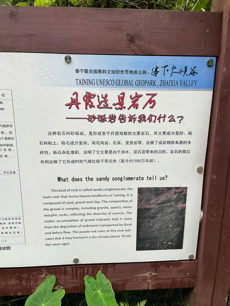 3e42e8a18b049c497870bed889f8a763-sz_141459