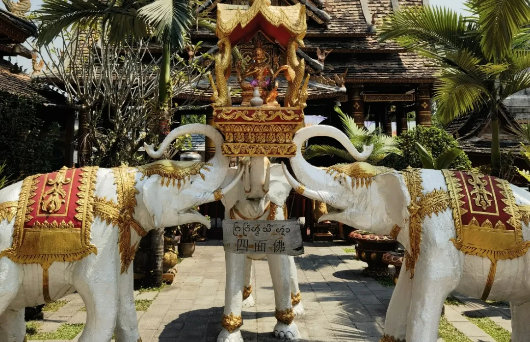 3e5d9b3bd4dab5afaaa926ee08b2b11a-sz_590729