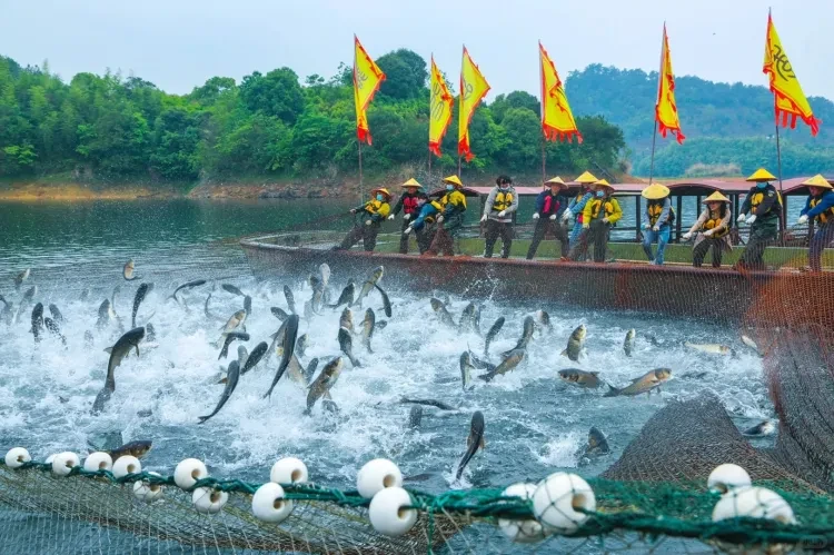 3e6343fd60d3c31baf3edd518506a0f8-sz_623119