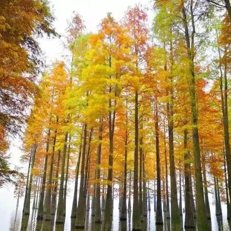 3e7bbfef058bc3f901209a4f707931af-sz_688967-1 3e7bbfef058bc3f901209a4f707931af-sz_688967-1