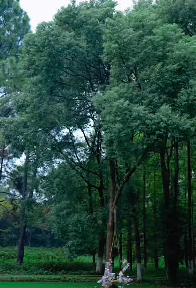 3ea1adc4d6a85da5ec8a9d93d37d6500-sz_426752