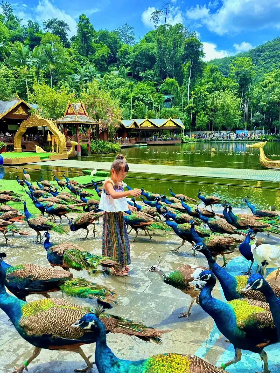 3ef5a10dd7dd09af96b1a8b24703356e-sz_4755014-2