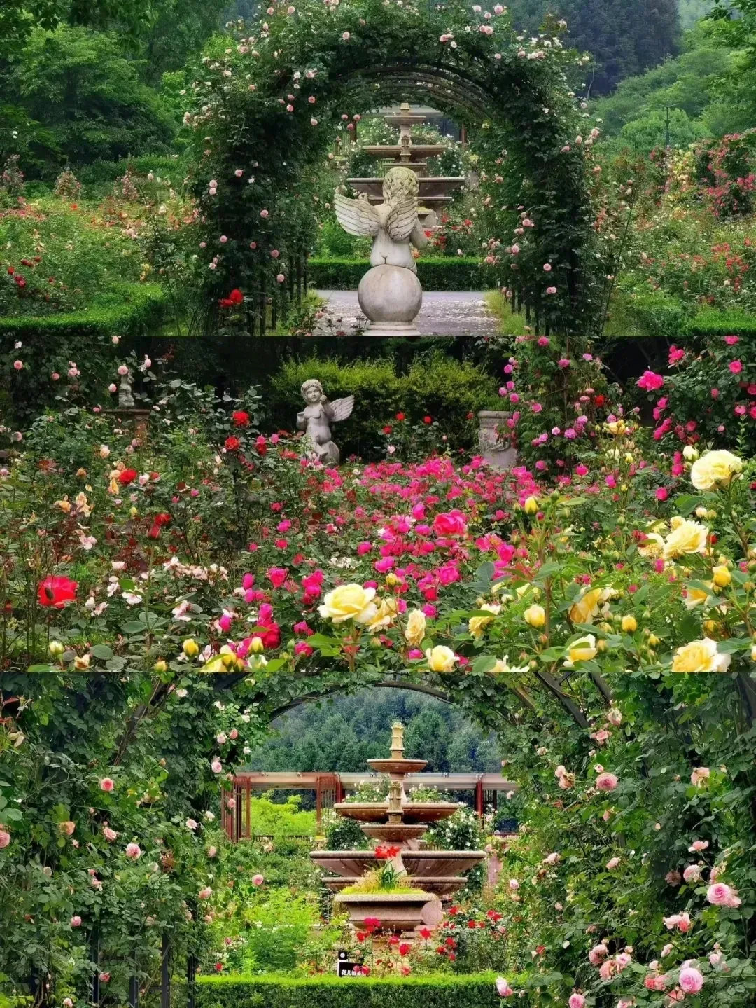 3f8f2aac8396c13462261a8d0c4f3033-sz_4186871