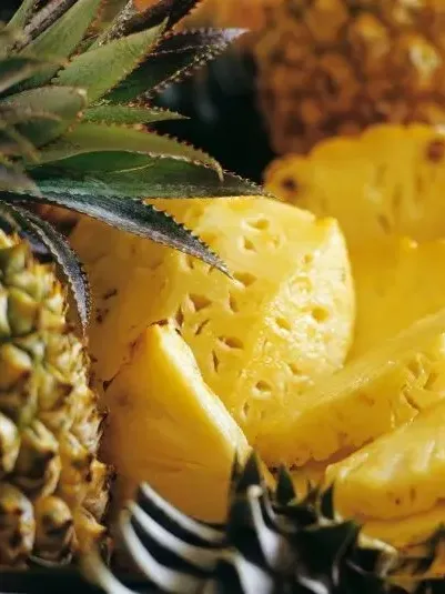 3fd3dd0ec742b46c03cb862d01e818d4-sz_777604