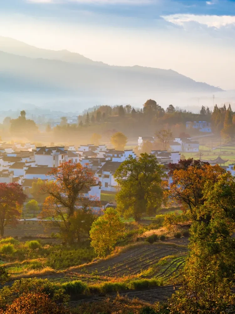 3feeb9776704279caaed04e71f77ef88-sz_2349799