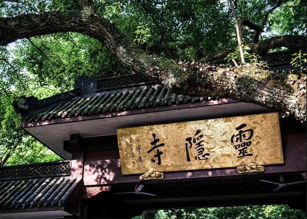 402e168908ee6858d0673c957d391548-sz_212385 402e168908ee6858d0673c957d391548-sz_212385