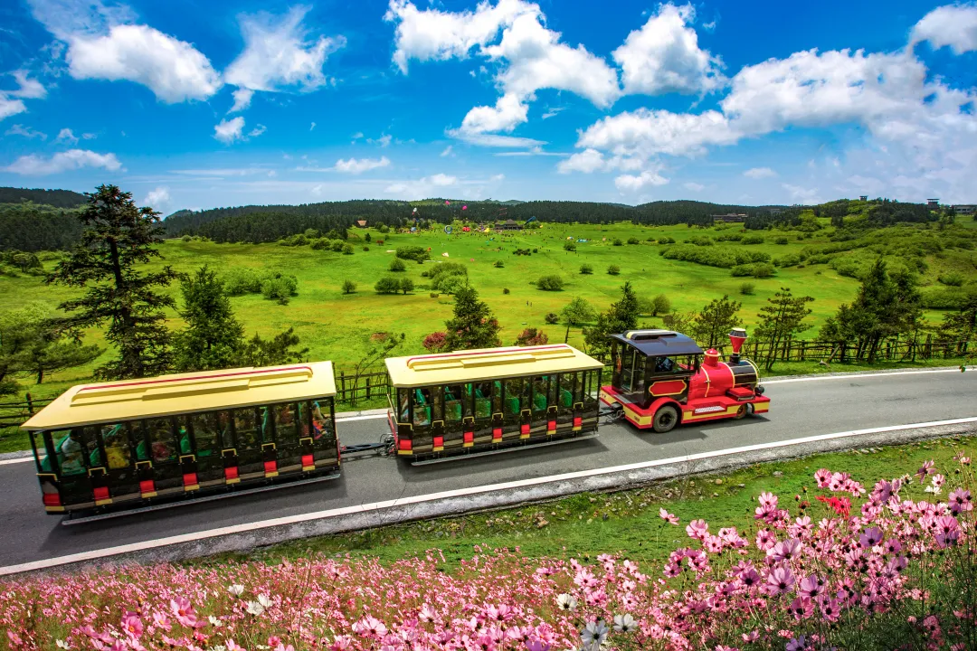 402f58c09c6191ac6afeab2180bf6b21-sz_15263532