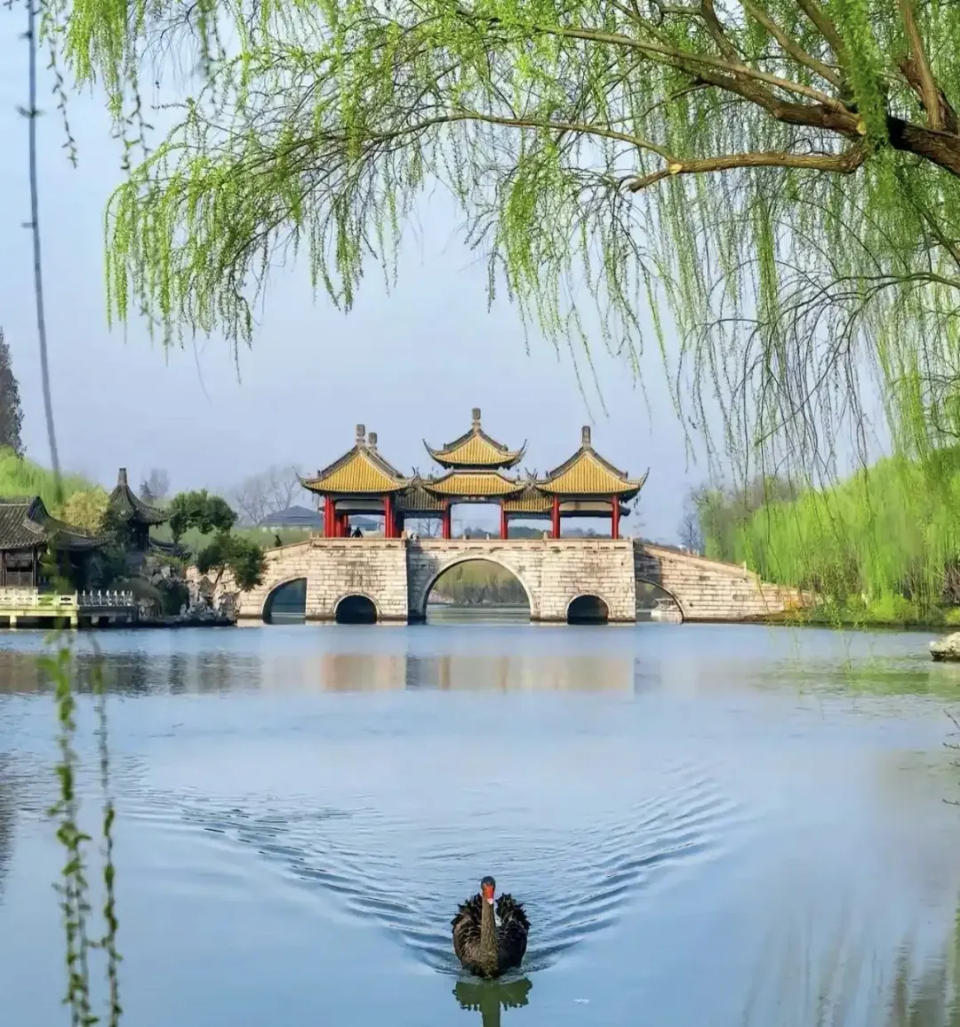 406e0852b5831afa96dc81a38ae98fd3-sz_1669073 406e0852b5831afa96dc81a38ae98fd3-sz_1669073